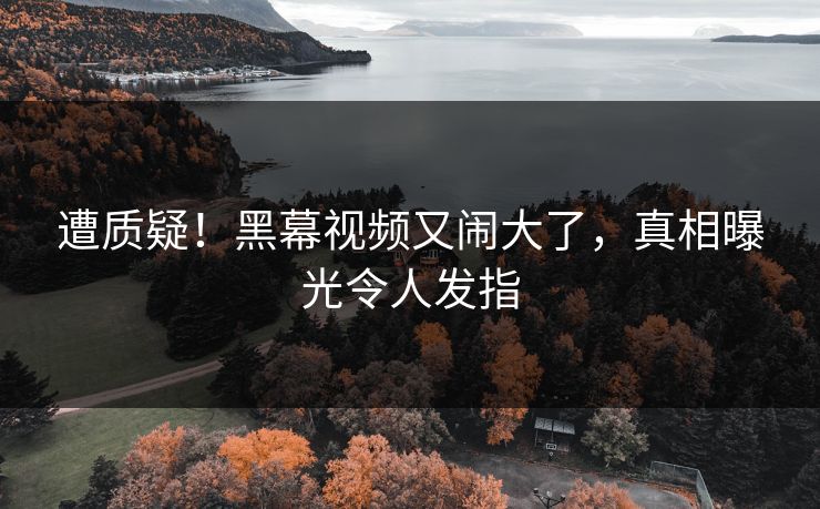遭质疑!黑幕视频又闹大了,真相曝光令人发指