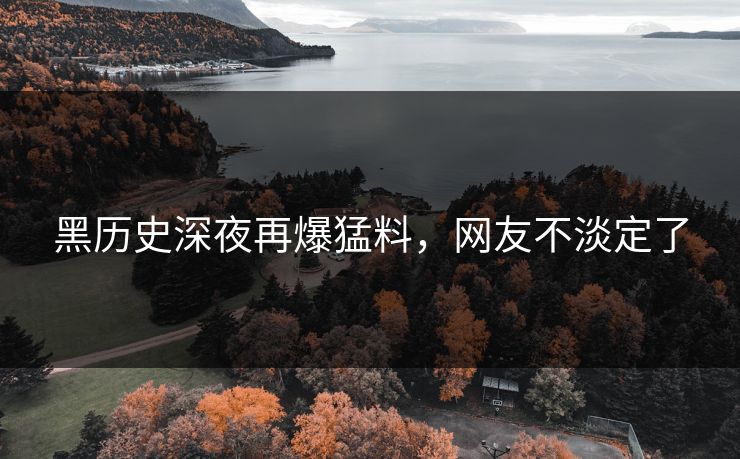 黑历史深夜再爆猛料,网友不淡定了