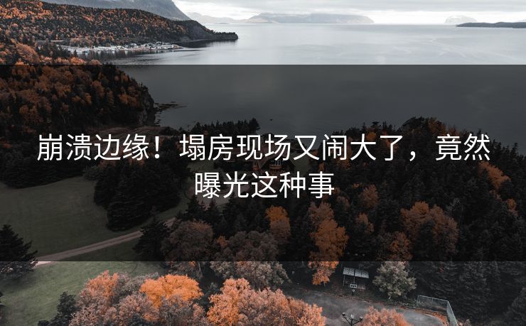 崩溃边缘！塌房现场又闹大了，竟然曝光这种事