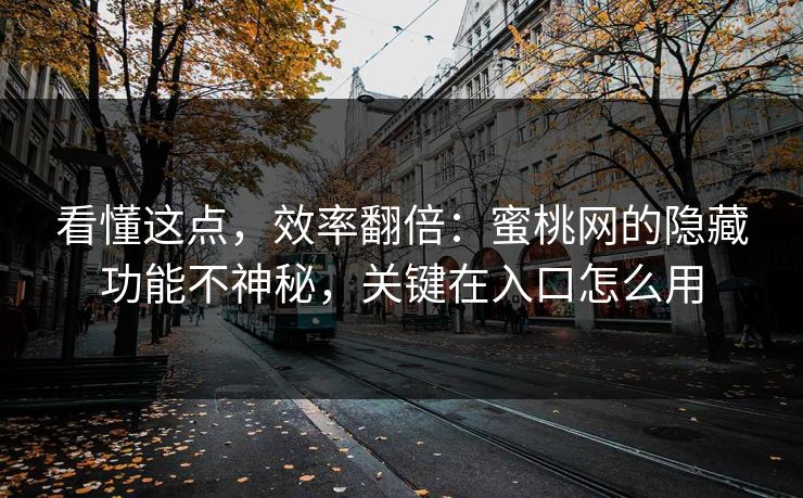 看懂这点，效率翻倍：蜜桃网的隐藏功能不神秘，关键在入口怎么用